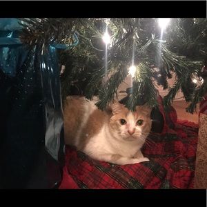 Meet your Posher, Monica